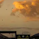 Sunrise and birds over pit lane at Formula One World Championship, Rd1, Australian Grand Prix, Qualifying, Albert Park, Melbourne, Australia, Saturday 19 March 2016. &copy; Sutton Motorsport Images