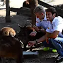 Marcus Ericsson (SWE) Sauber and Felipe Nasr (BRA) Sauber visit Melbourne Zoo and feed Kangaroos at Formula One World Championship, Rd1, Australian Grand Prix, Preparations, Albert Park, Melbourne, Australia, Wednesday 16 March 2016. &copy; Sutton Motorsport Images