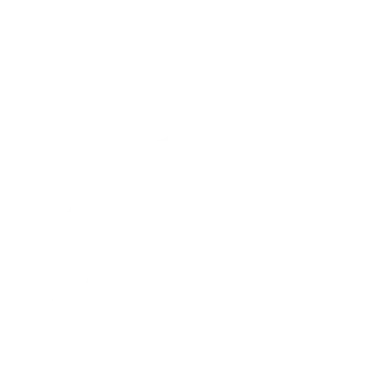 2025racingbullslogowhite.svg