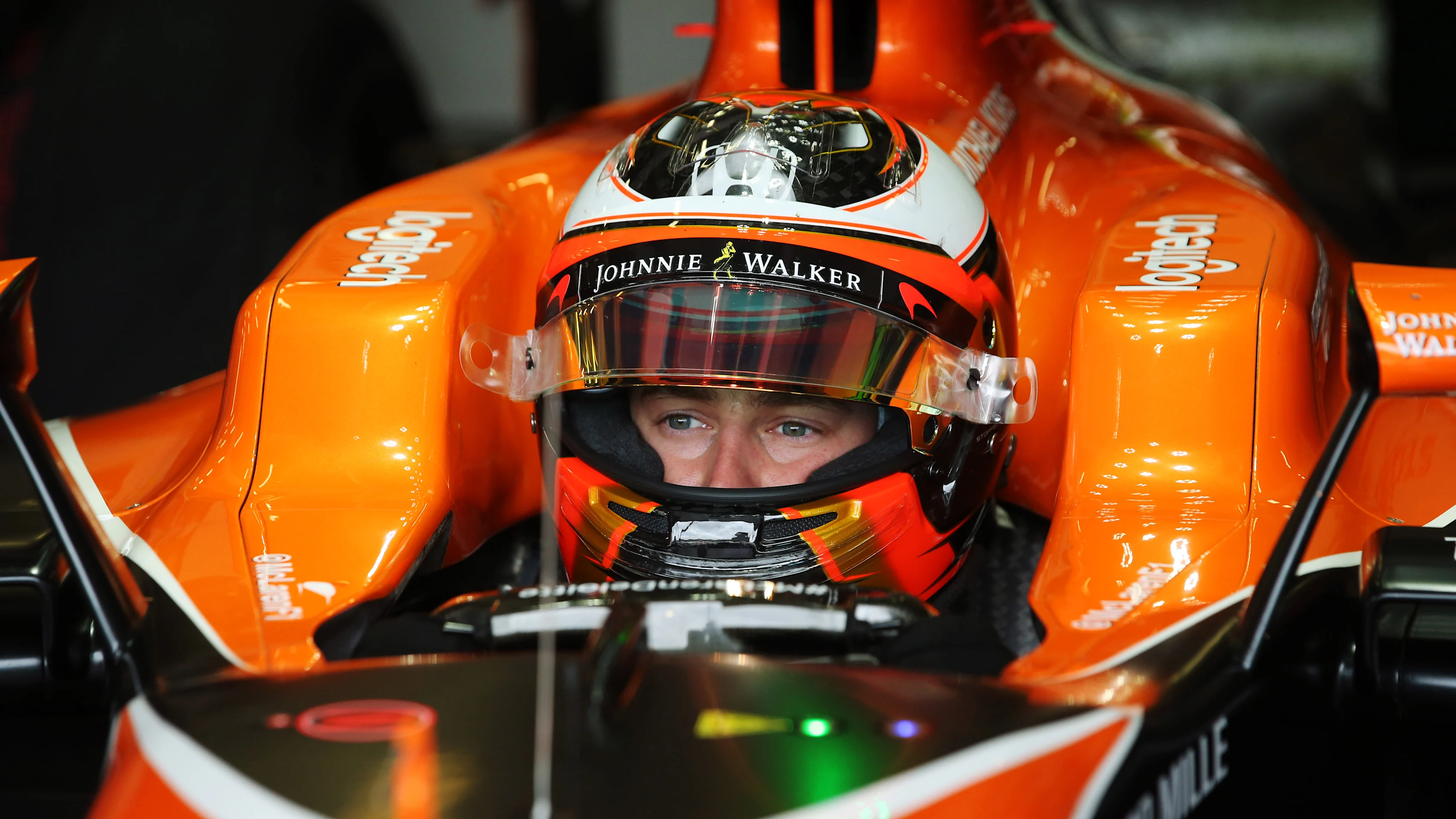 Silverstone, Northamptonshire, UK.
Friday 14 July 2017.
Stoffel Vandoorne, McLaren, in cockpit