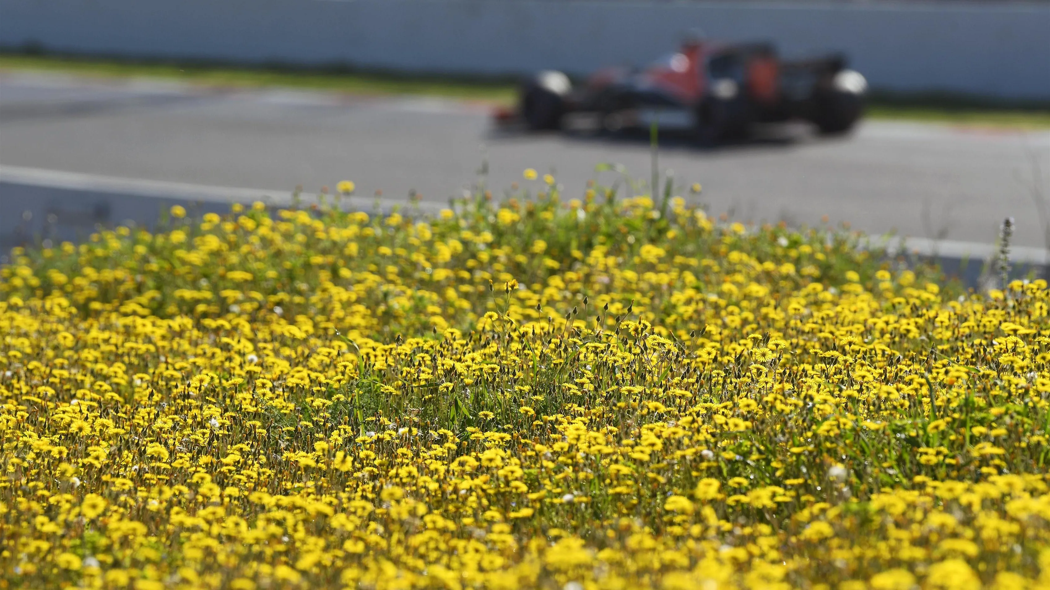 Formula One